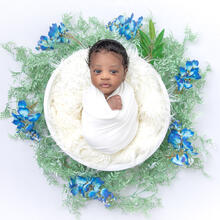 Family Photo Sample -- 2023-04-11