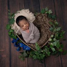 Family Photo Sample -- 2023-04-11