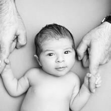 Newborn Photo Sample -- 2025-11-04