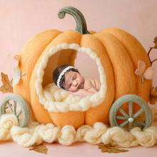 Newborn Photo Sample -- 2026-09-02