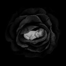 Newborn Photo Sample -- 2023-03-26