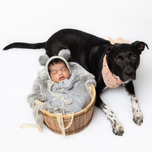 Family Photo Sample -- 2026-09-09