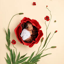 Newborn Photo Sample -- 2022-12-22