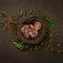 Newborn Photo Sample -- 2022-12-22