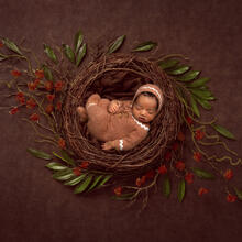 Newborn Photo Sample -- 2022-11-13